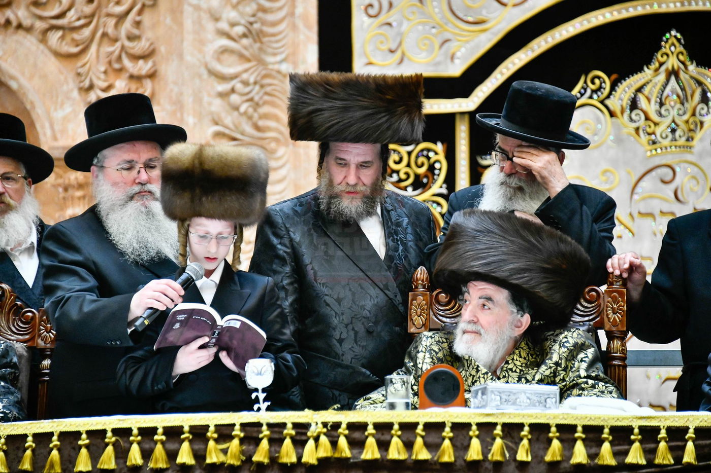 שמחת בית ויז'ניץ