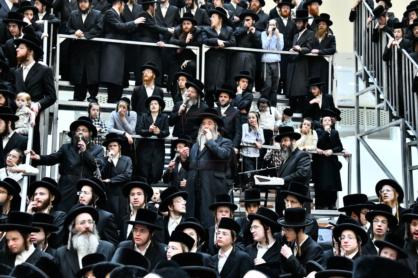 שמחת בית ויז'ניץ