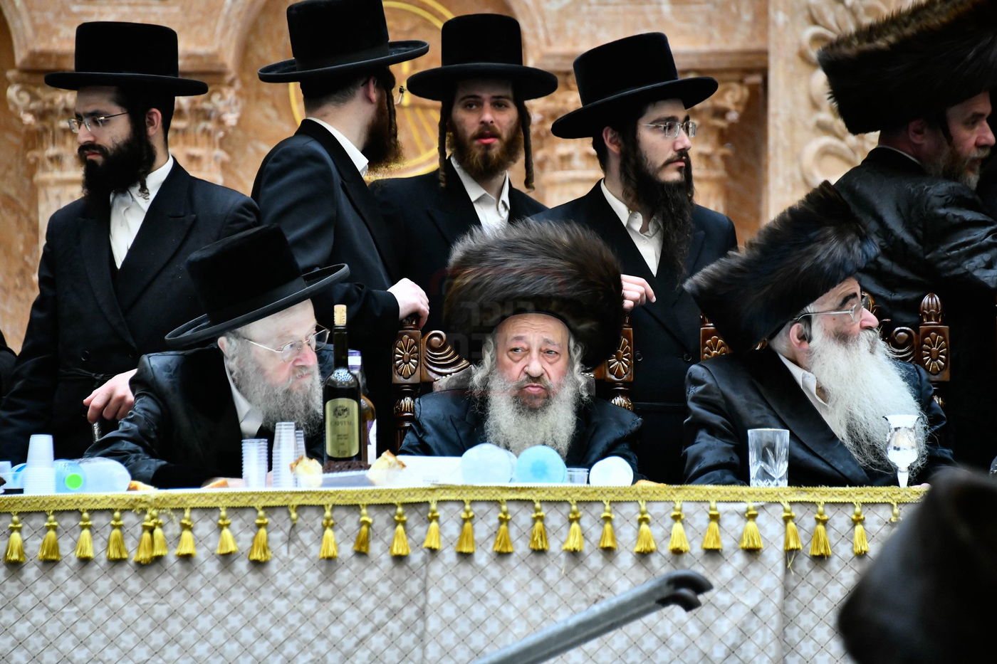 שמחת בית ויז'ניץ