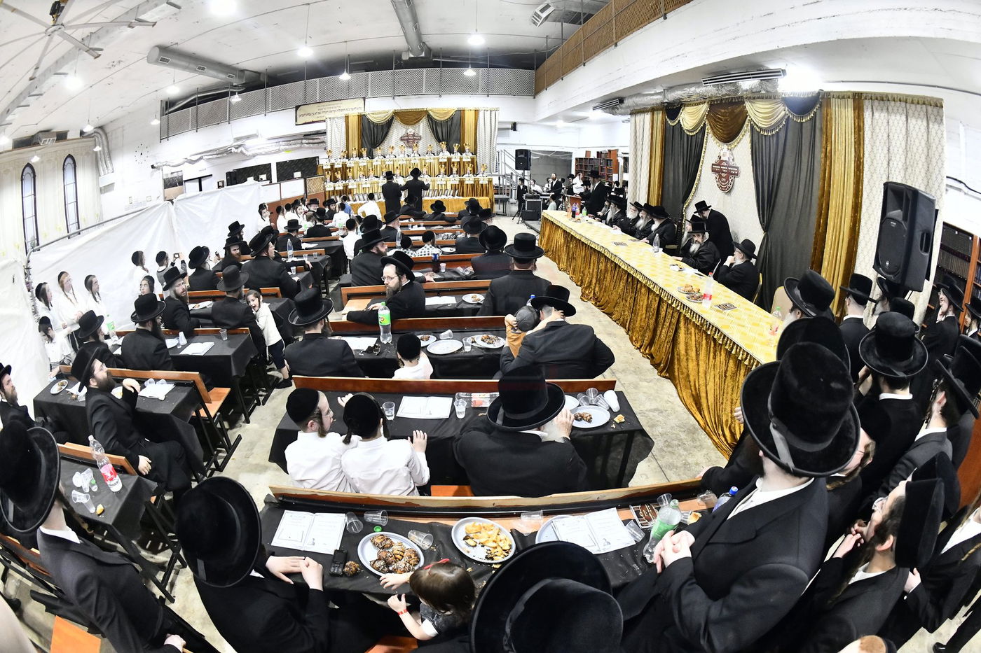 סיום חמשה חומשי תורה במכנובקא בעלזא