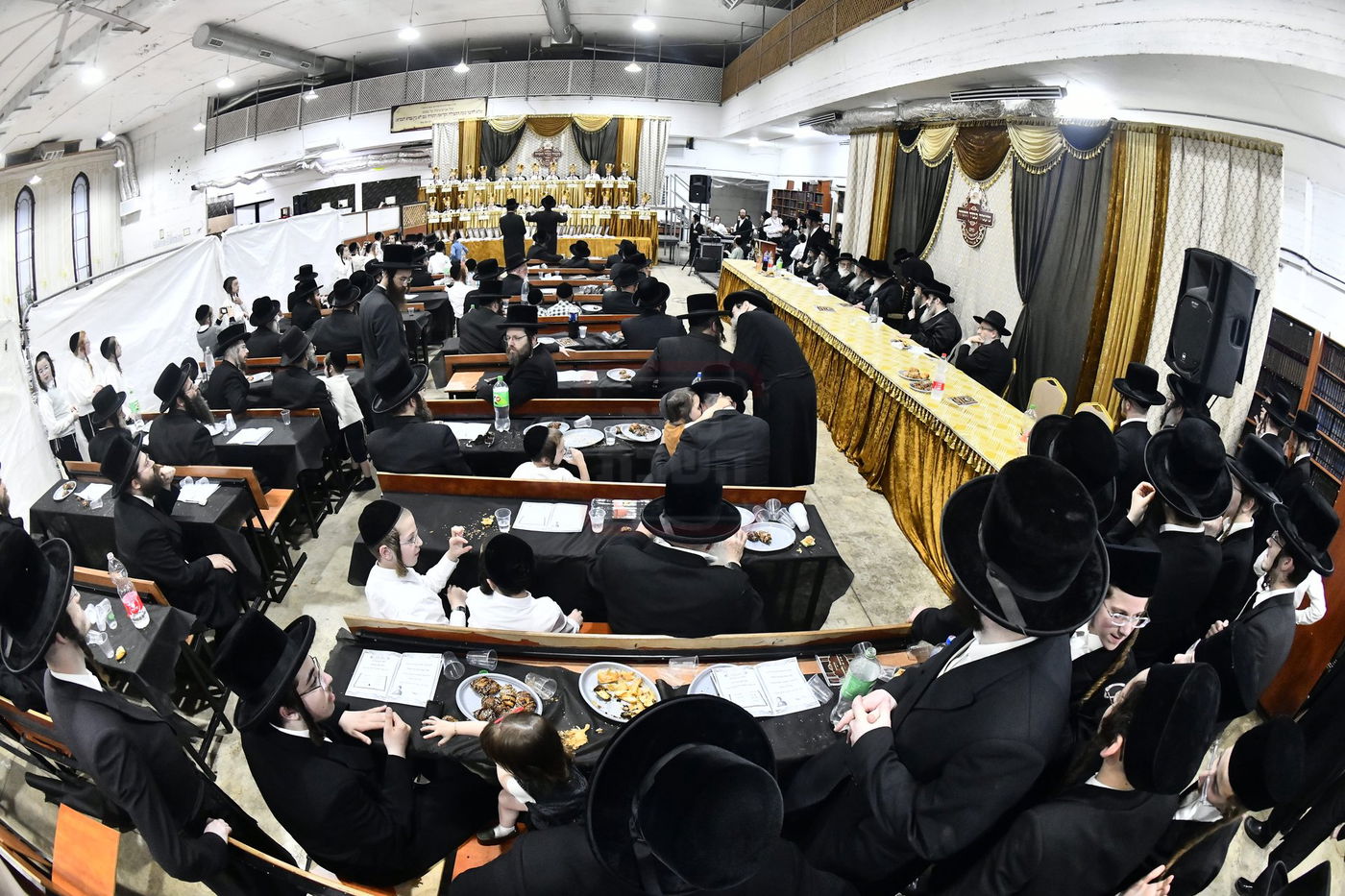 סיום חמשה חומשי תורה במכנובקא בעלזא