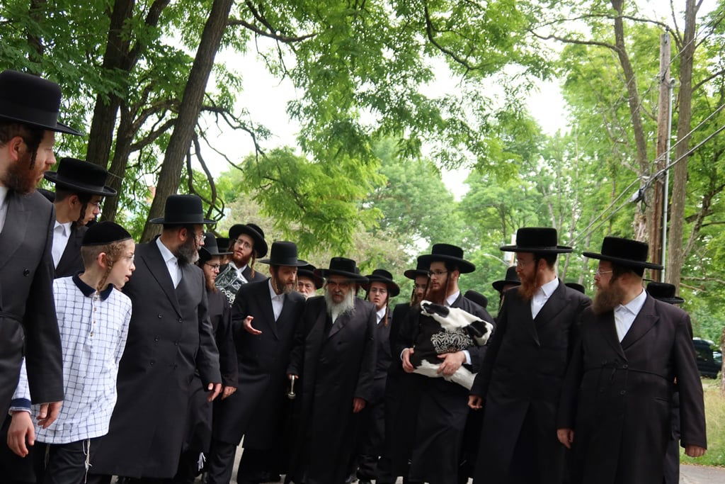 האדמור מסאטמר במנוחה בניו העמפשיר