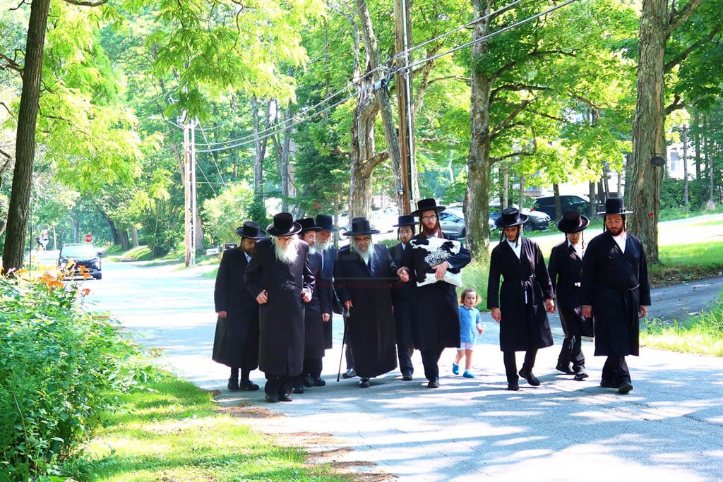 האדמור מסאטמר בנאות דשא במנוחה בניו העמפשיר