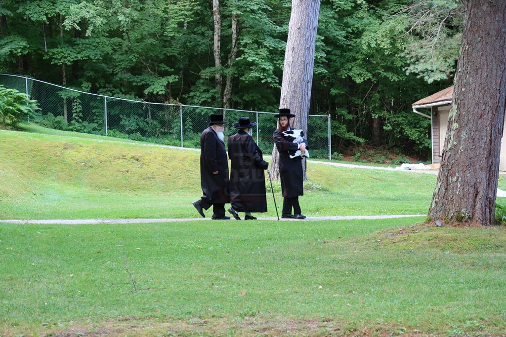 האדמור מסאטמר במנוחה בניו העמפשיר