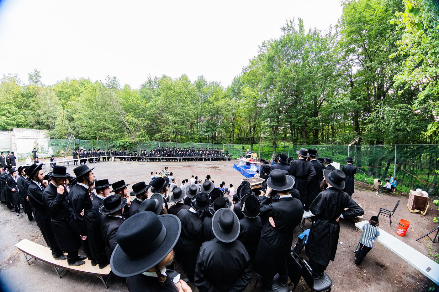  מעמד שחיטת כבש הפדיון במחנה ישיבת סערדאהעלי
