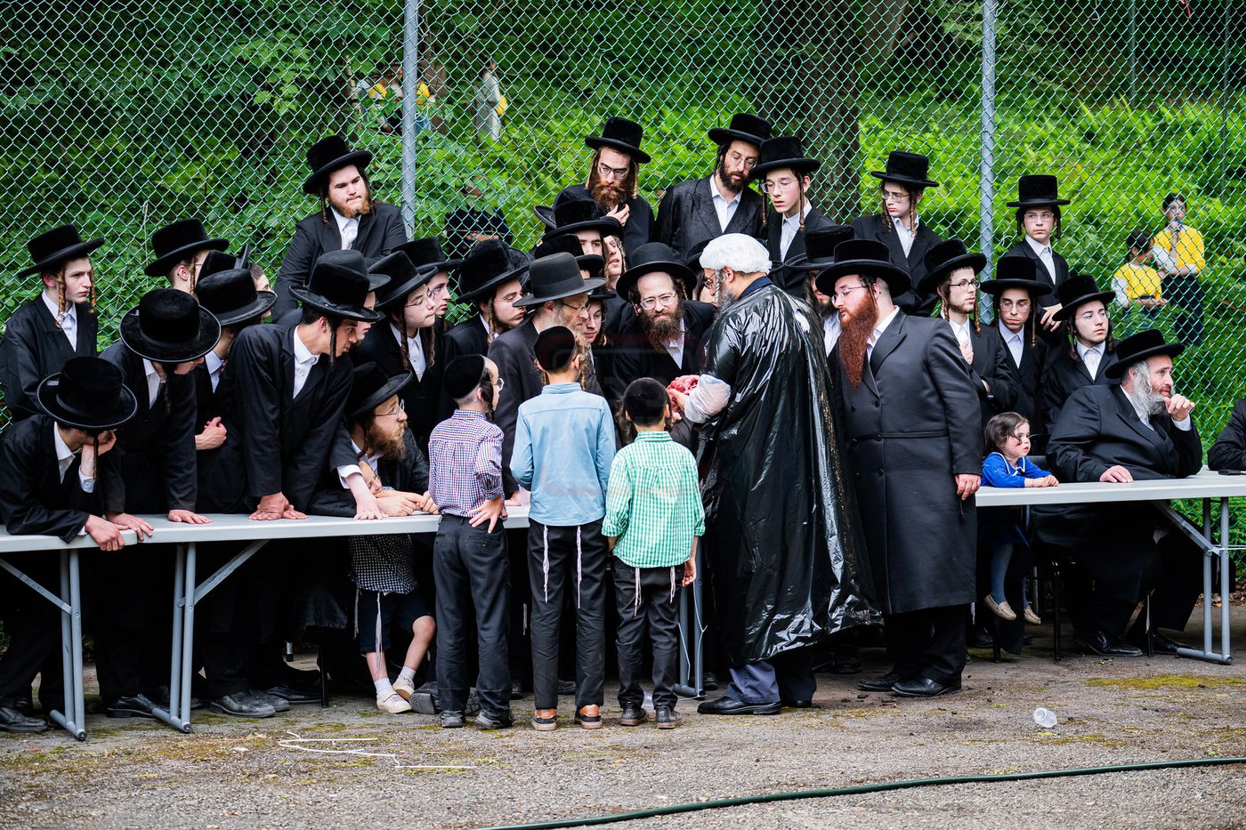  מעמד שחיטת כבש הפדיון במחנה ישיבת סערדאהעלי