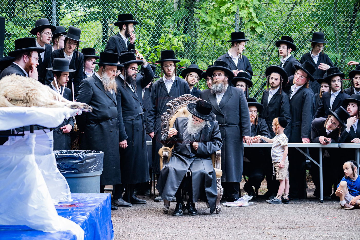  מעמד שחיטת כבש הפדיון במחנה ישיבת סערדאהעלי