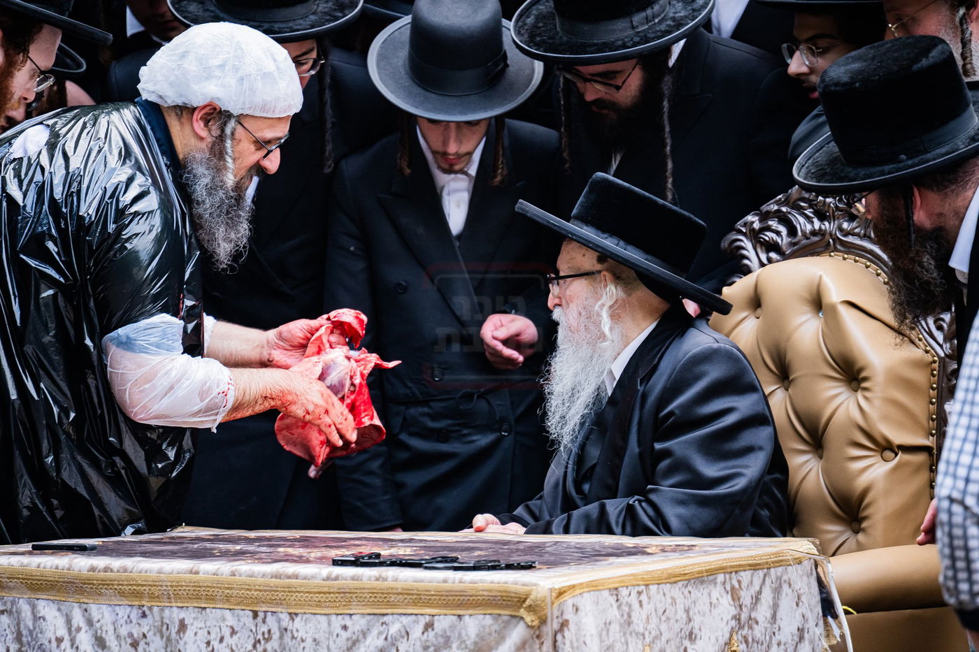  מעמד שחיטת כבש הפדיון במחנה ישיבת סערדאהעלי