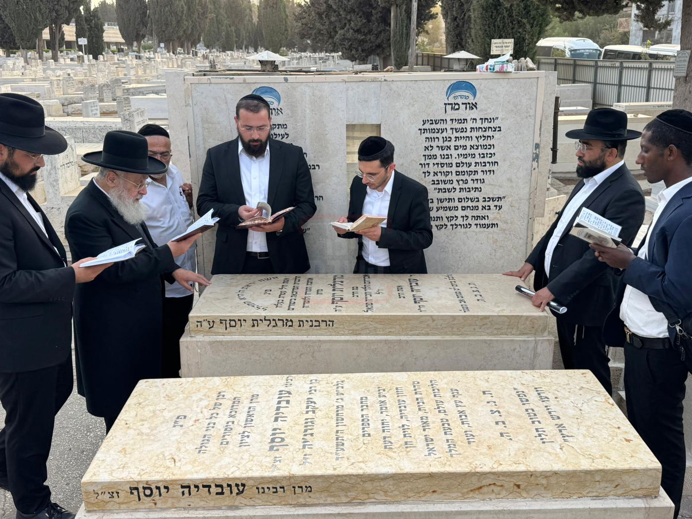 זופניק בכיכר | כל התמונות, הנייעס והחשיפות של בין הזמנים