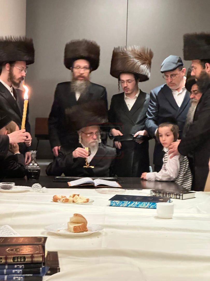 זופניק בכיכר | כל התמונות, הנייעס והחשיפות של בין הזמנים