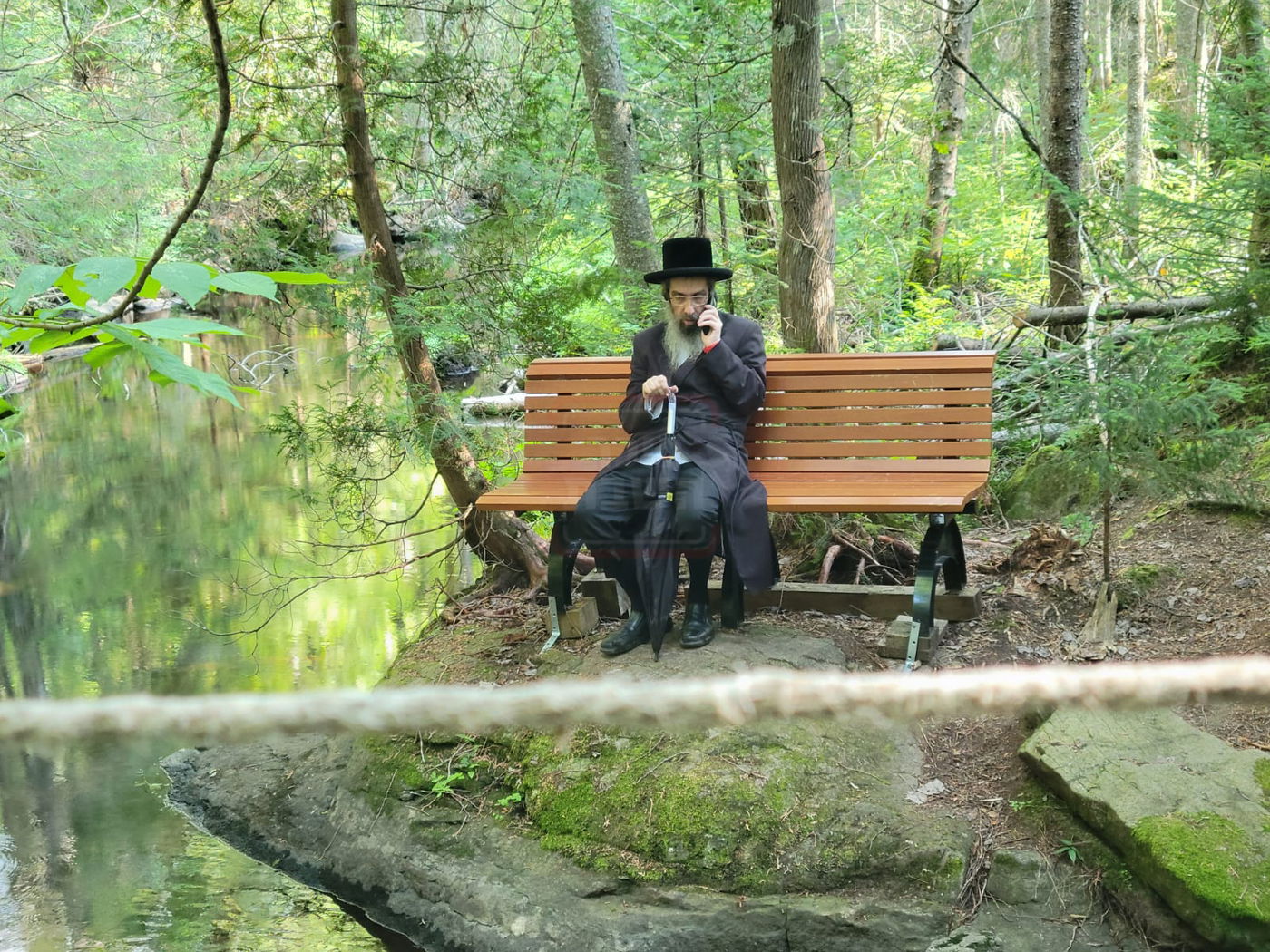 זופניק בכיכר | כל התמונות, הנייעס והחשיפות של בין הזמנים