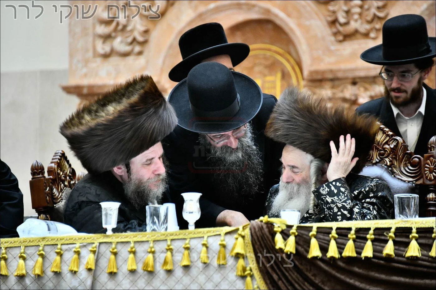 זופניק בכיכר | כל התמונות, הנייעס והחשיפות של בין הזמנים