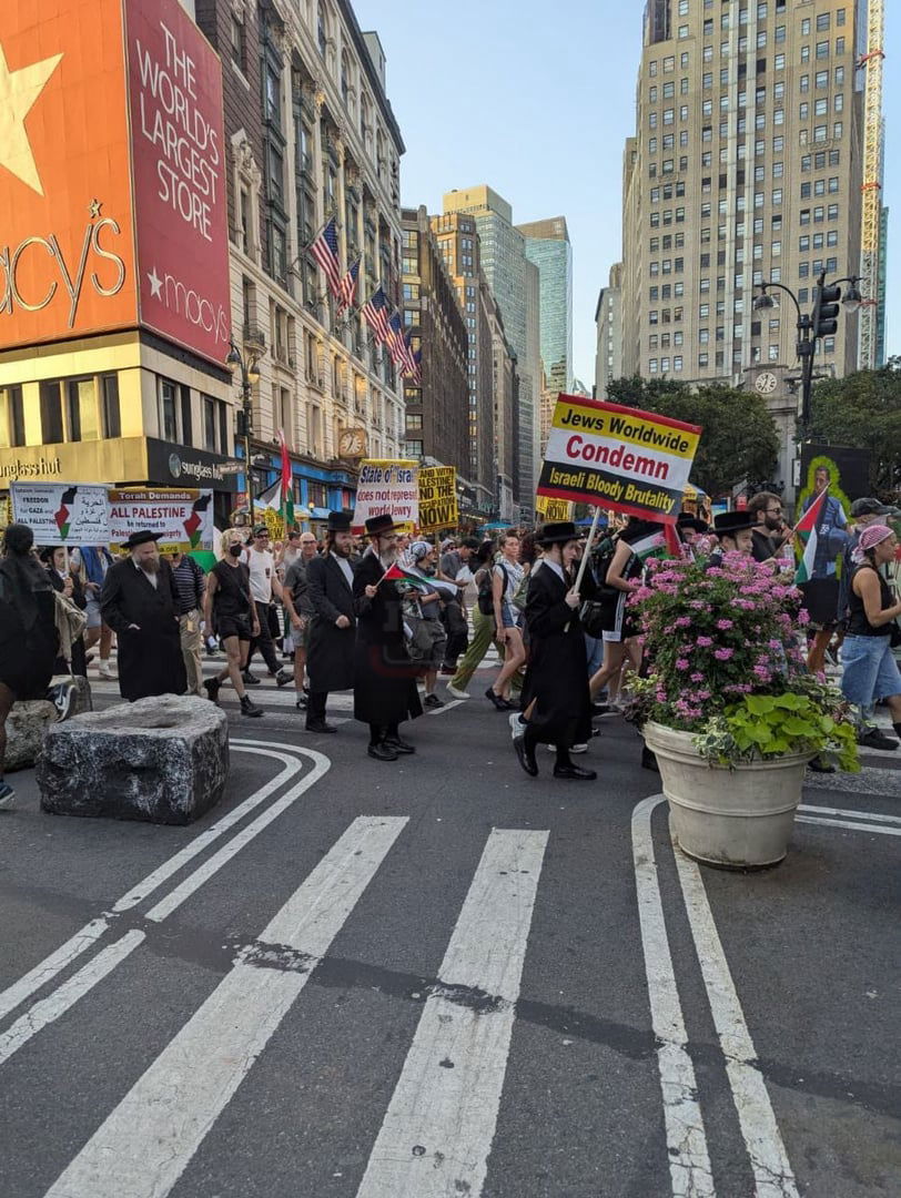 זופניק בכיכר | כל התמונות, הנייעס והחשיפות של בין הזמנים