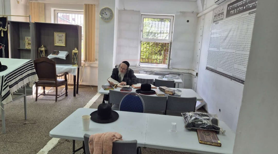 זופניק בכיכר | כל התמונות, הנייעס והחשיפות של בין הזמנים