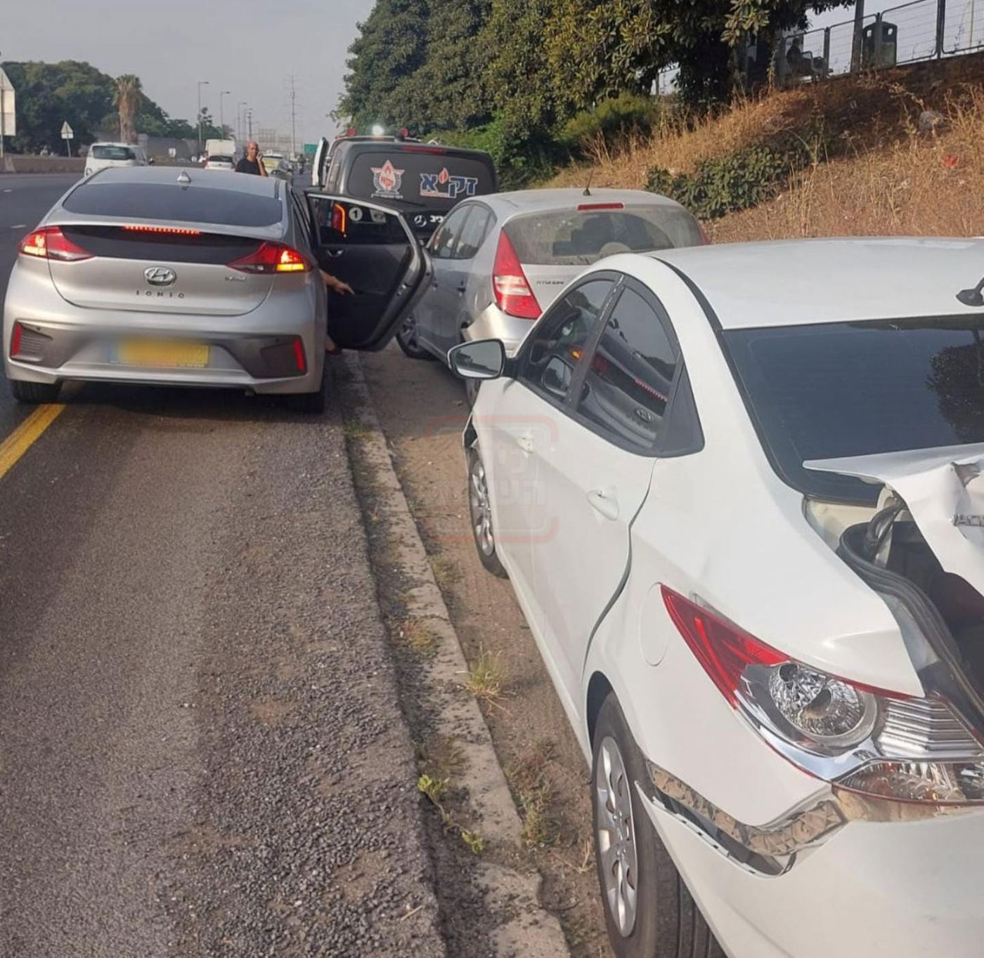 זופניק בכיכר | כל התמונות, הנייעס והחשיפות של בין הזמנים