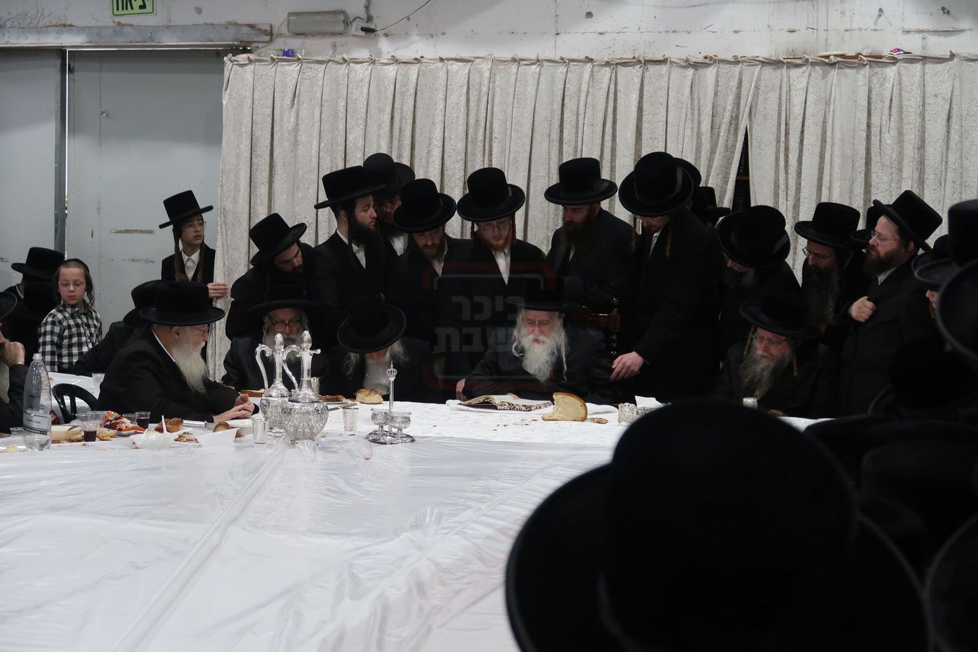 הילולא קדישא במחנובקא בעלזא