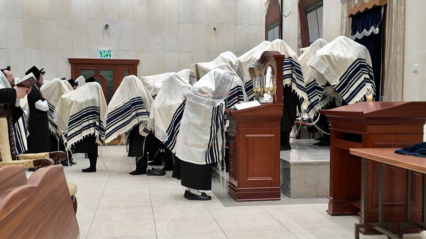 האדמו"ר ממחנובקא בעלזא בתפילת שחרית ביום ההילולא