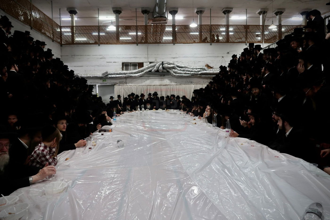 הילולא קדישא במחנובקא בעלזא