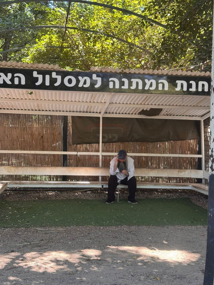 זופניק בכיכר | כל התמונות, הנייעס והחשיפות של בין הזמנים