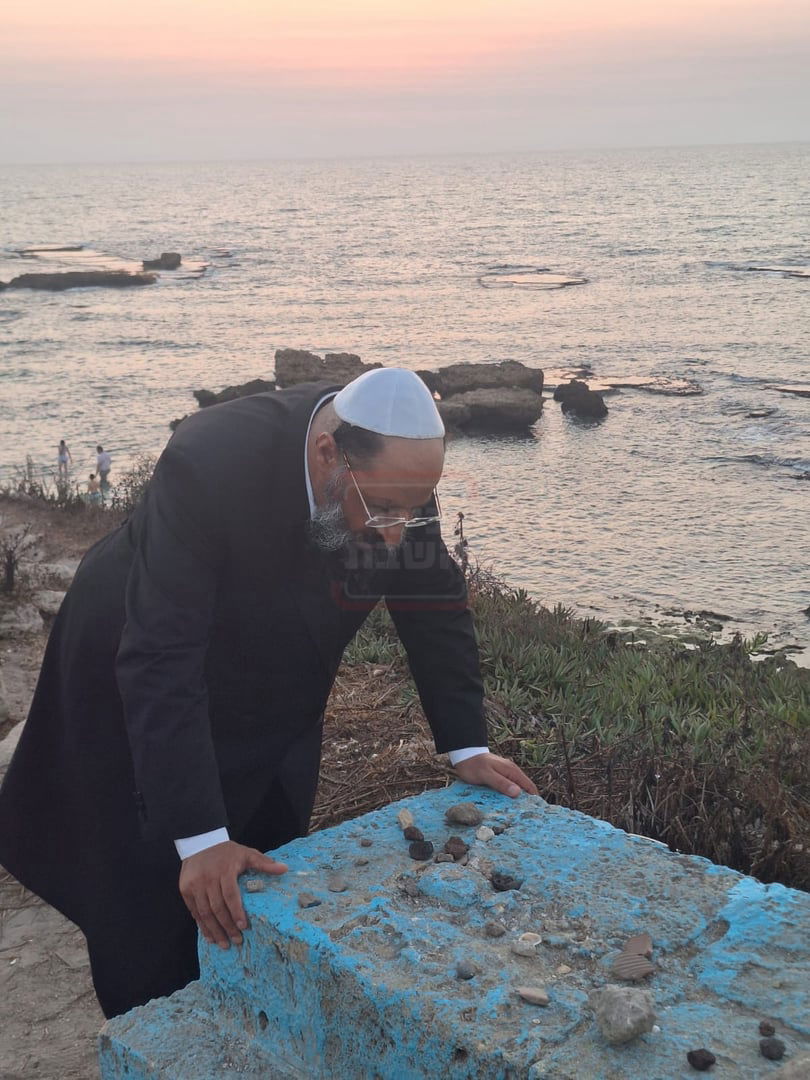 זופניק בכיכר | כל התמונות, הנייעס והחשיפות של בין הזמנים