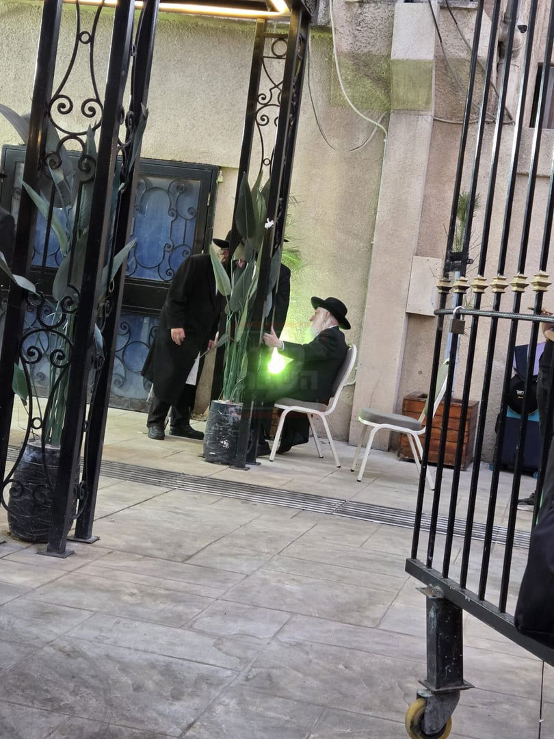 זופניק בכיכר | כל התמונות, הנייעס והחשיפות של בין הזמנים