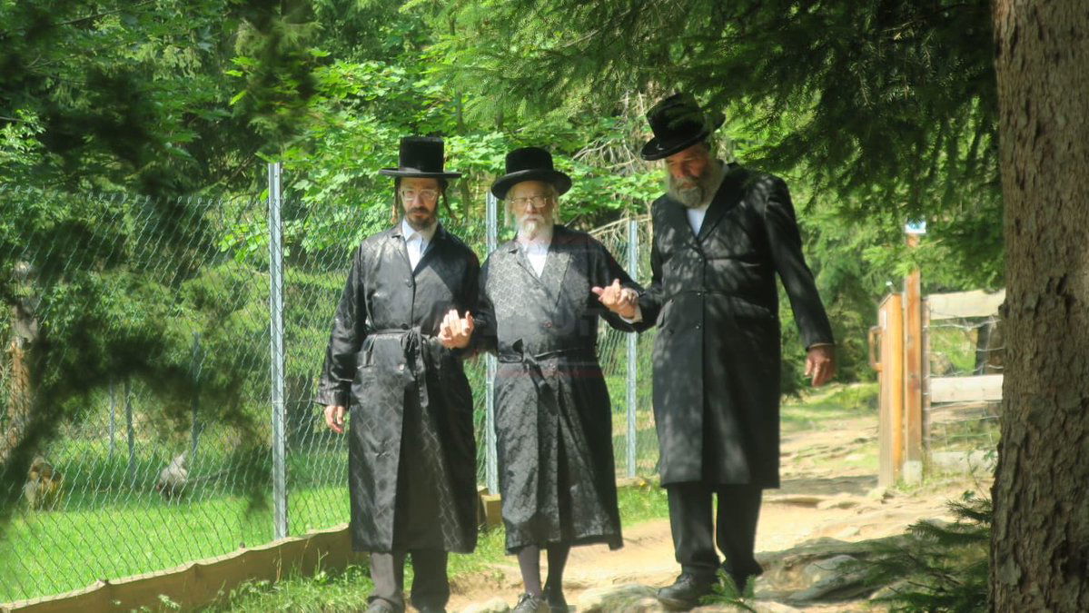 זופניק בכיכר | כל התמונות, הנייעס והחשיפות של בין הזמנים