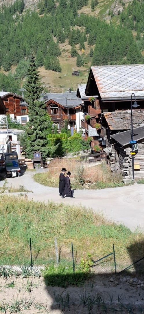 זופניק בכיכר | כל התמונות, הנייעס והחשיפות של בין הזמנים