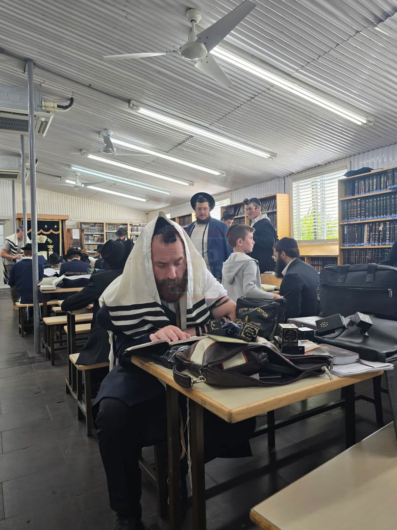 זופניק בכיכר | כל התמונות, הנייעס והחשיפות של בין הזמנים