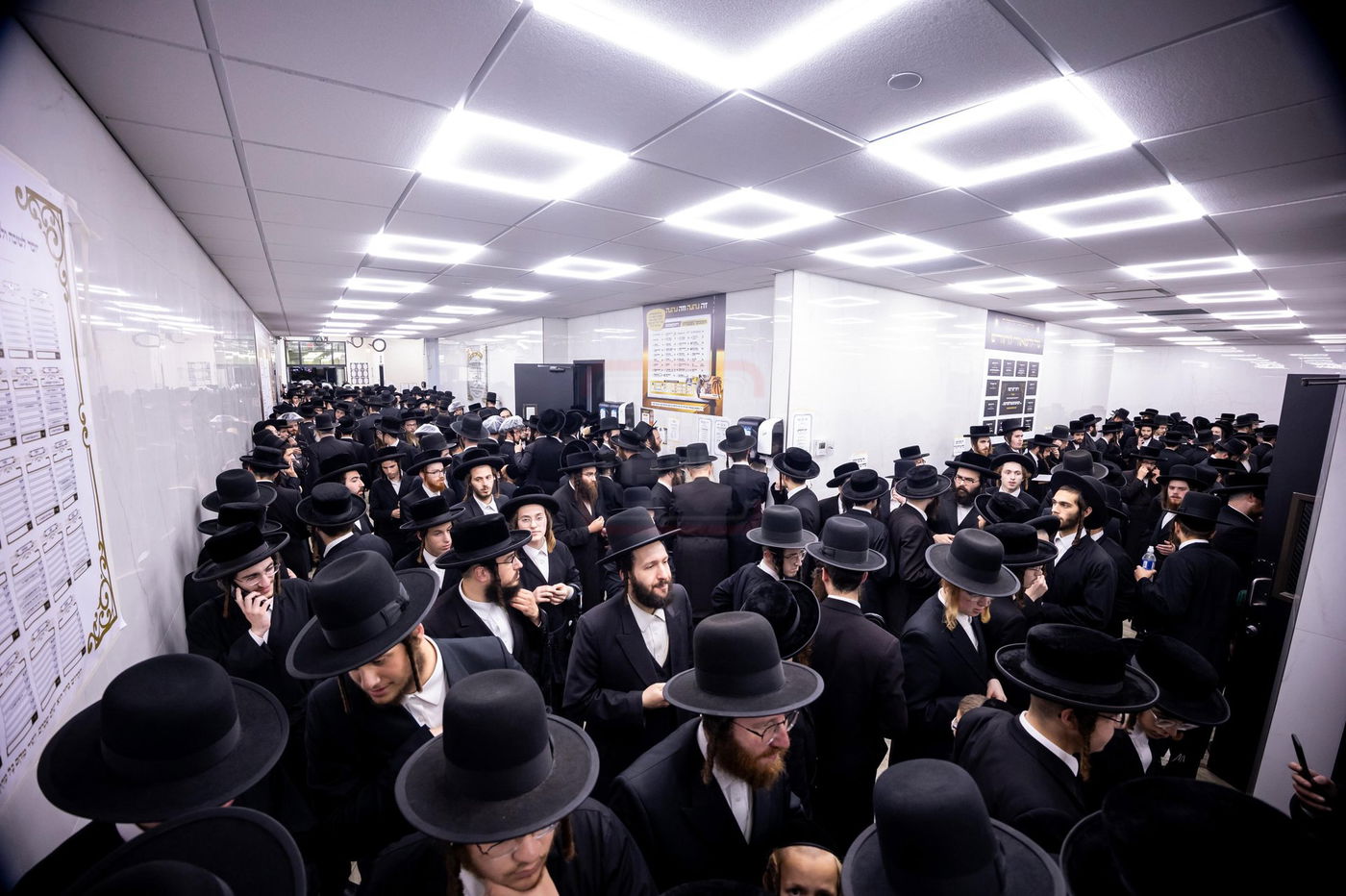 הילולא קדישא בסאטמר