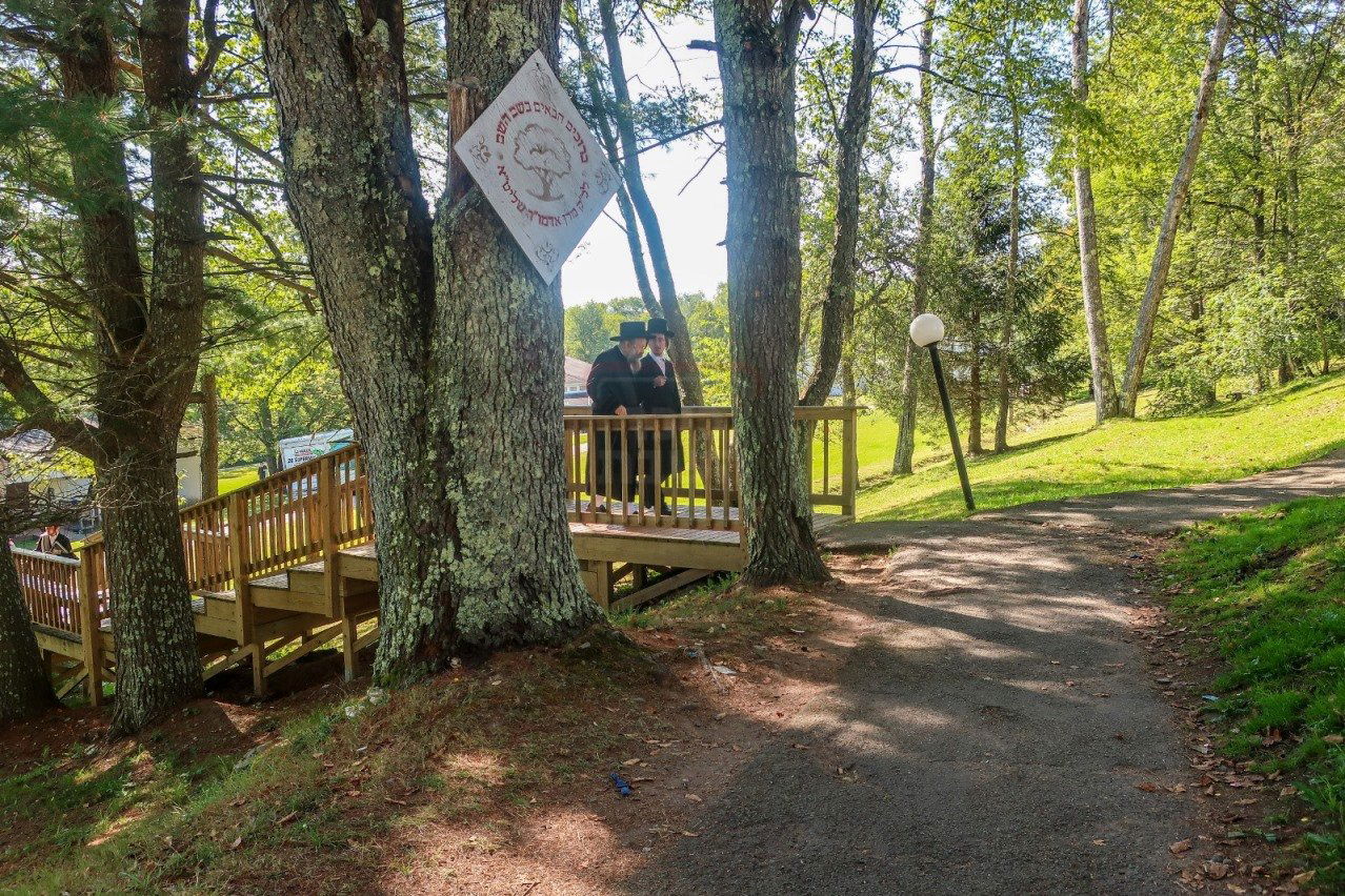 האדמו"ר מבאבוב 45 בימי הקיץ בהרי הקאנטרי