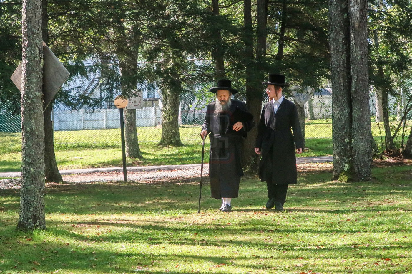 האדמו"ר מבאבוב 45 בימי הקיץ בהרי הקאנטרי