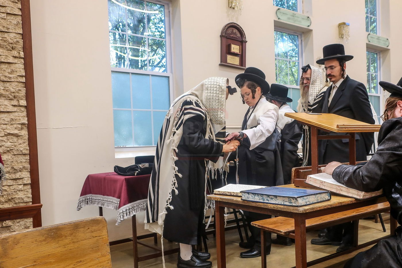 האדמו"ר מבאבוב 45 בימי הקיץ בהרי הקאנטרי