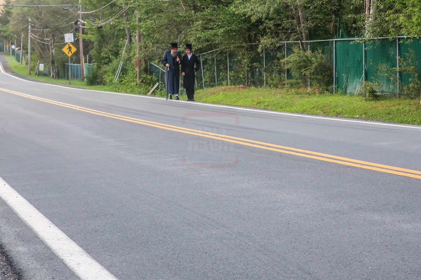 האדמו"ר מבאבוב 45 בימי הקיץ בהרי הקאנטרי