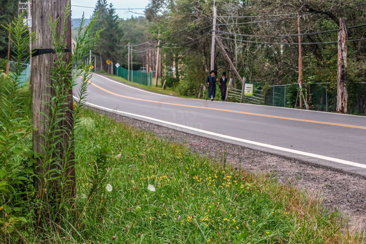האדמו"ר מבאבוב 45 בימי הקיץ בהרי הקאנטרי