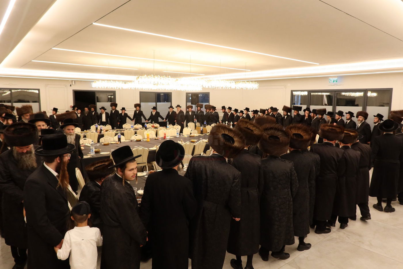 שמחת השבע ברכות בחצרות 'עטרת צבי' זידטשוב - ווערדאן 