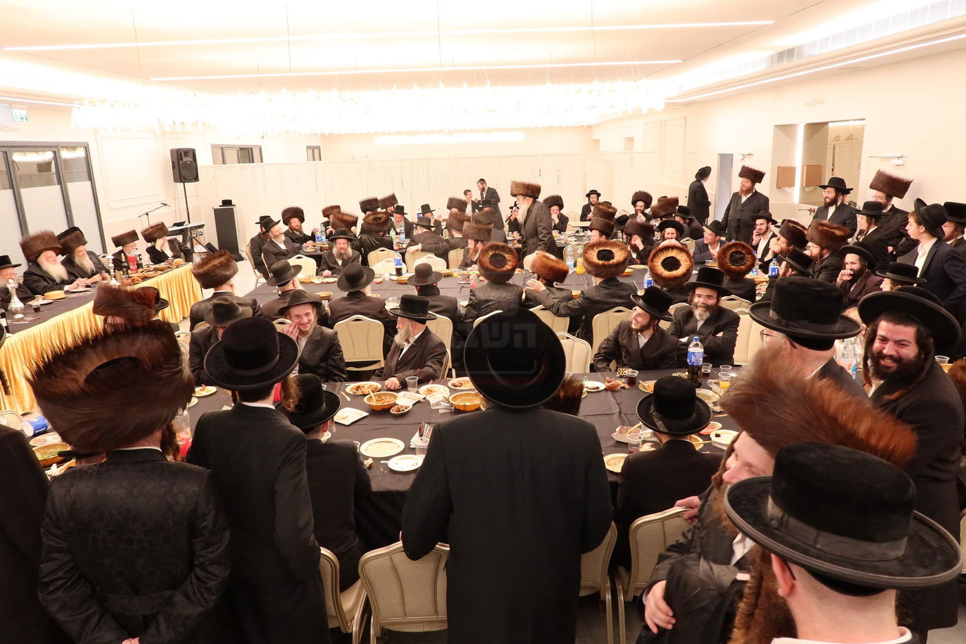 שמחת השבע ברכות בחצרות 'עטרת צבי' זידטשוב - ווערדאן 