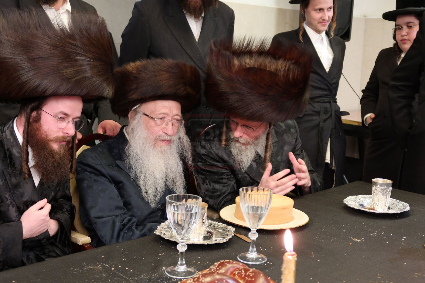 שמחת השבע ברכות בחצרות 'עטרת צבי' זידטשוב - ווערדאן 