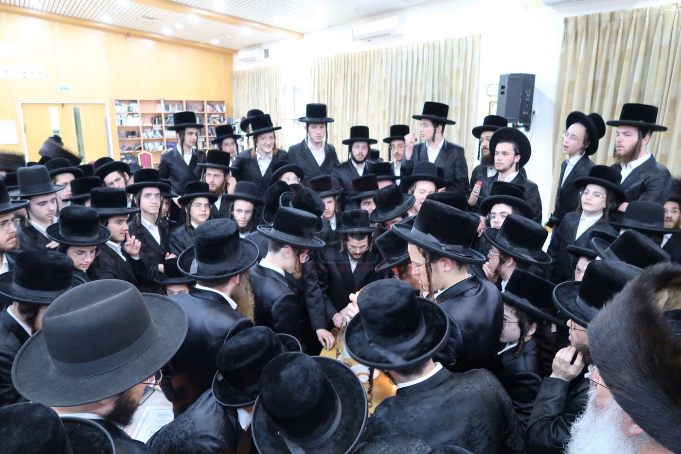 קעמפ לבחורי סאדיגורה