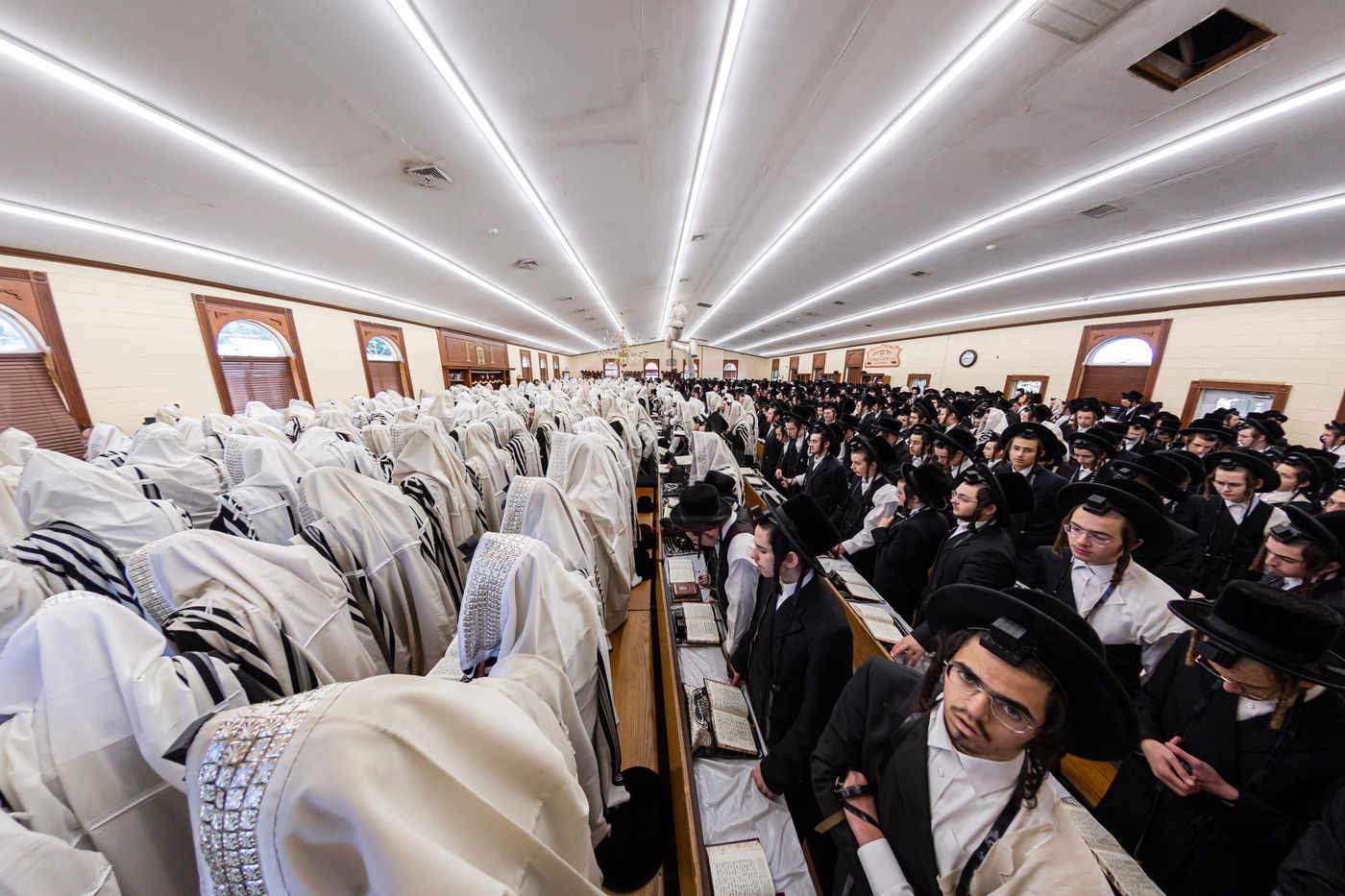 ראש חודש אלול בצל האדמו"ר מבאבוב