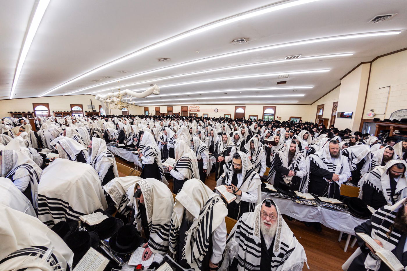 ראש חודש אלול בצל האדמו"ר מבאבוב