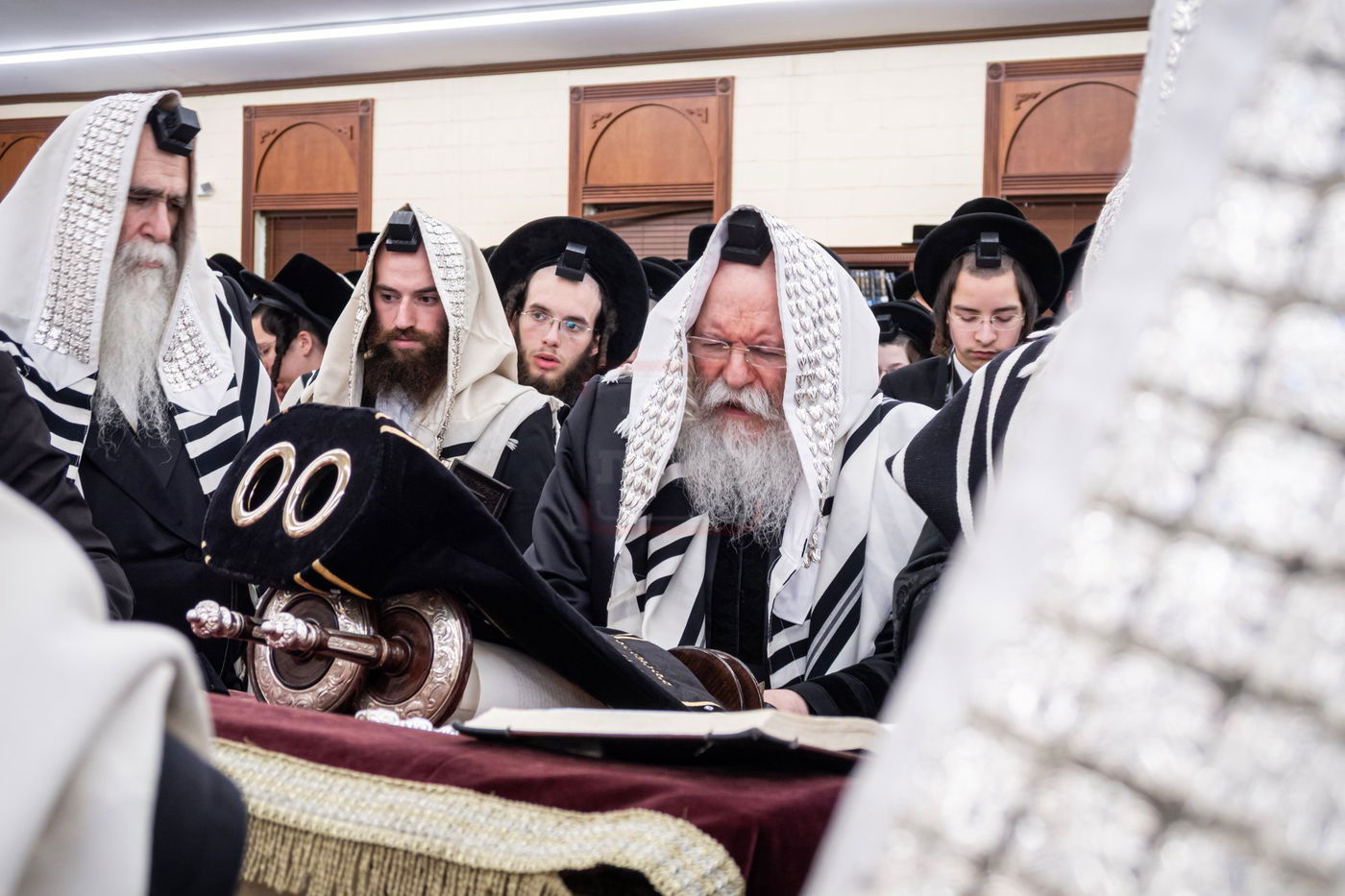 ראש חודש אלול בצל האדמו"ר מבאבוב