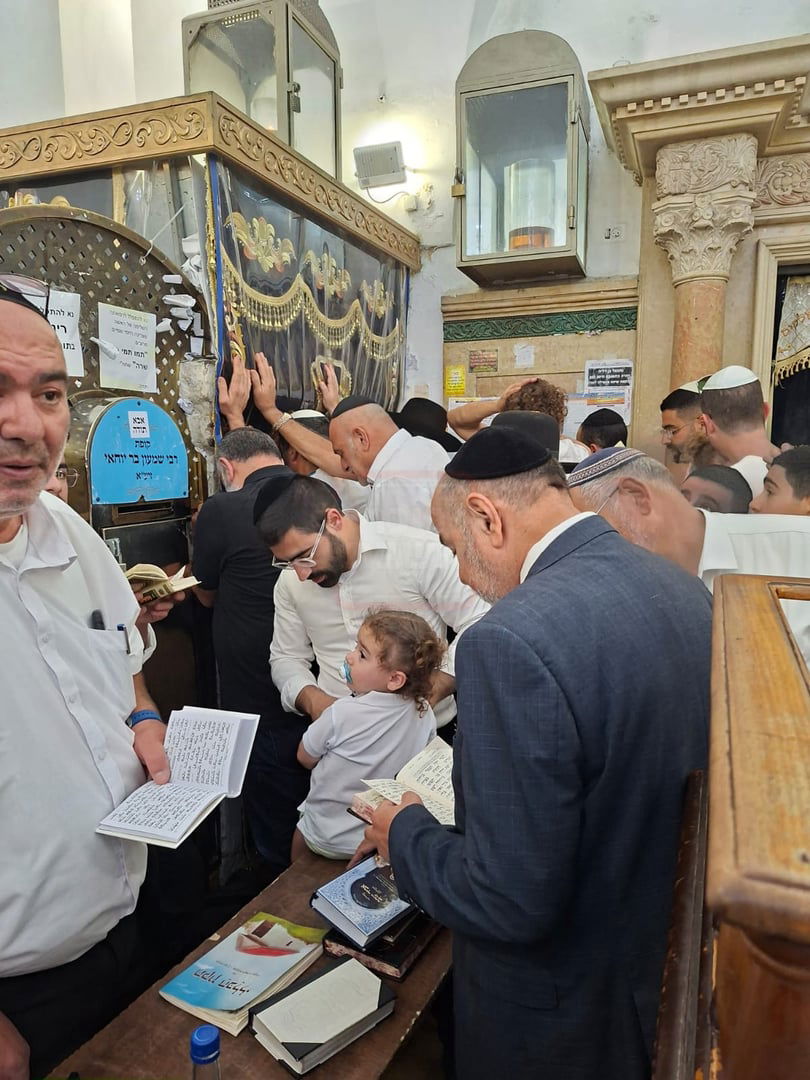 זופניק בכיכר | כל התמונות, הנייעס והחשיפות של השבוע