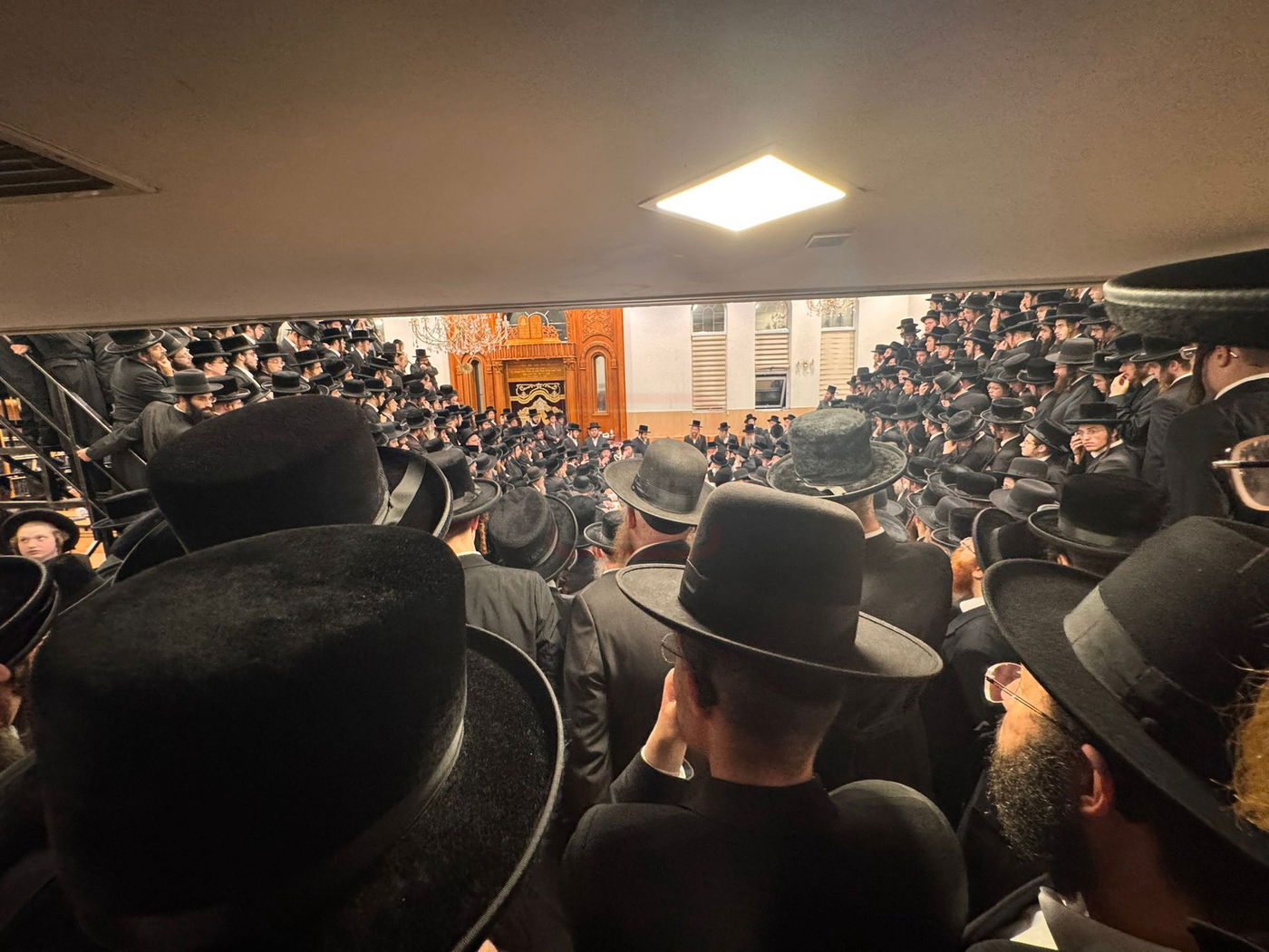 מעמד קבלת פנים לאדמו"ר מויז'ניץ לונדון