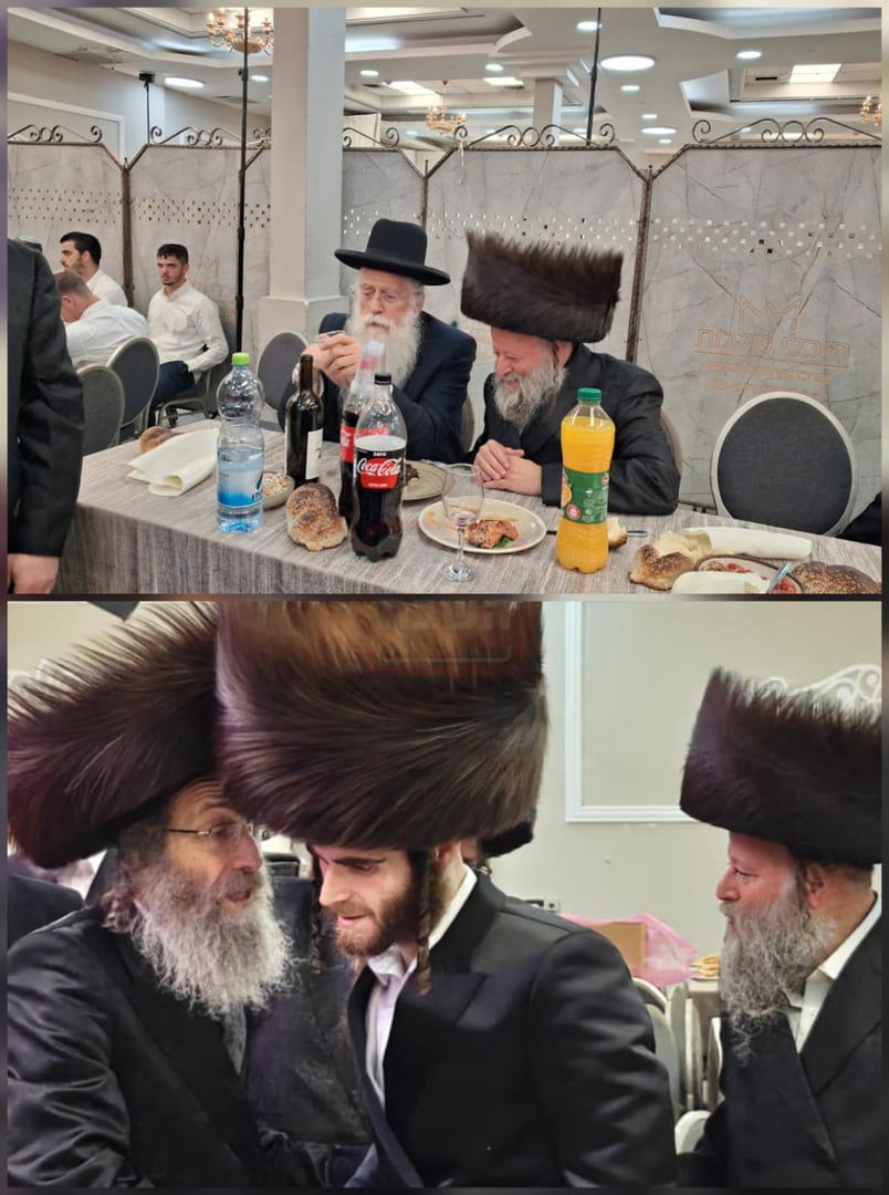 זופניק בכיכר | כל התמונות, הנייעס והחשיפות של השבוע