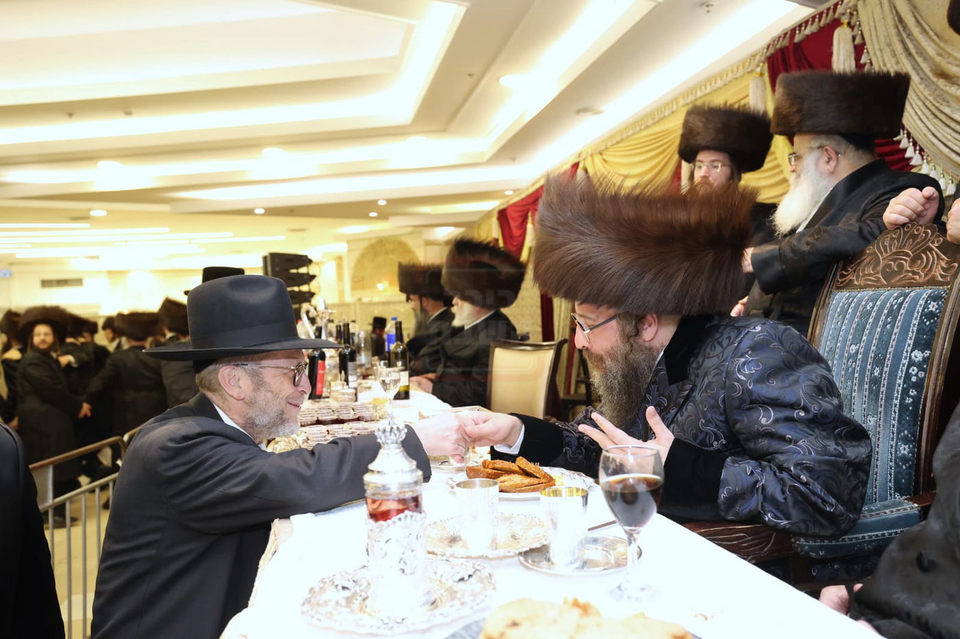 זופניק בכיכר | כל התמונות, הנייעס והחשיפות של השבוע