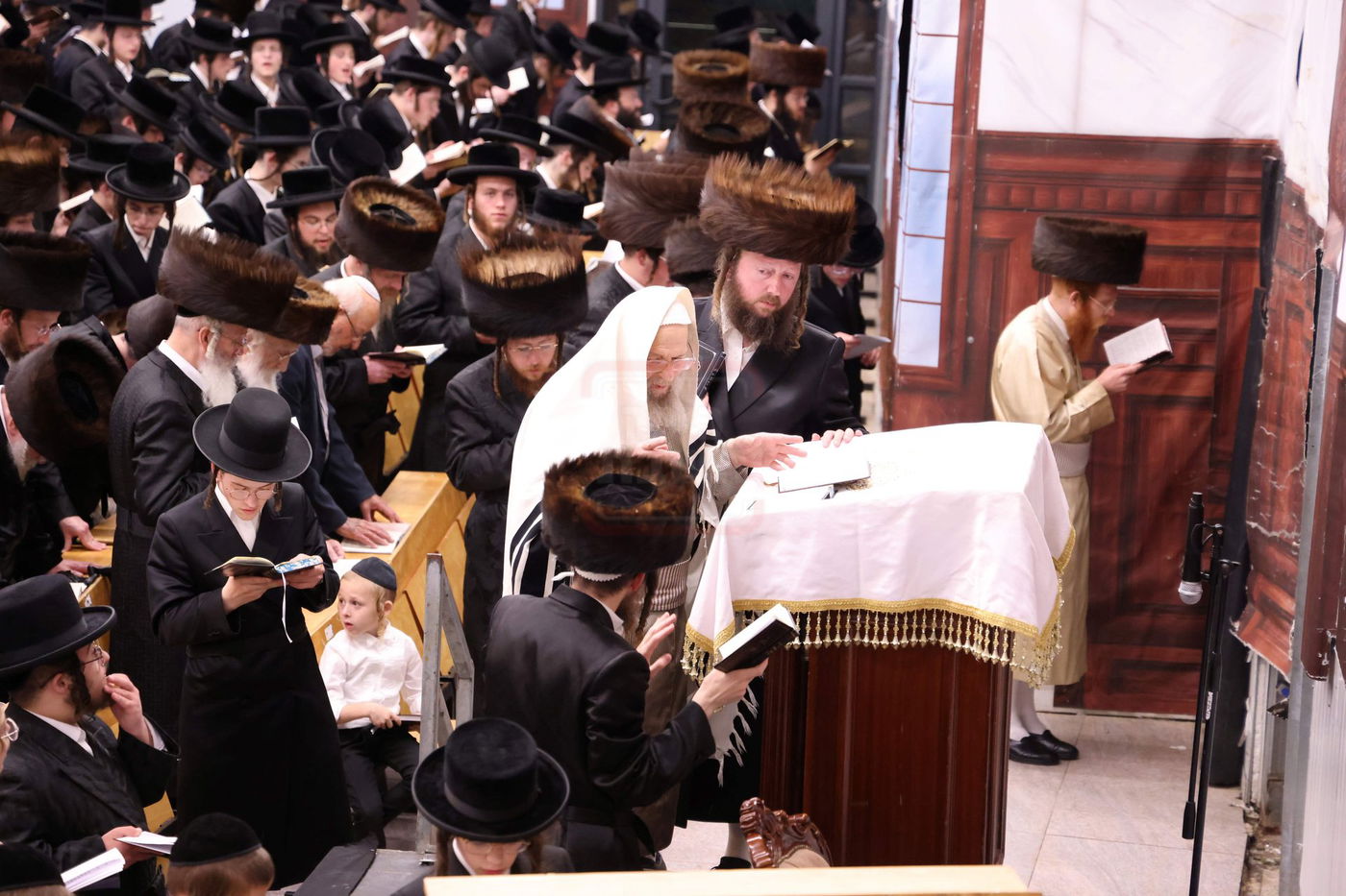 סליחות ראשונות בחצה"ק פינסק קרלין