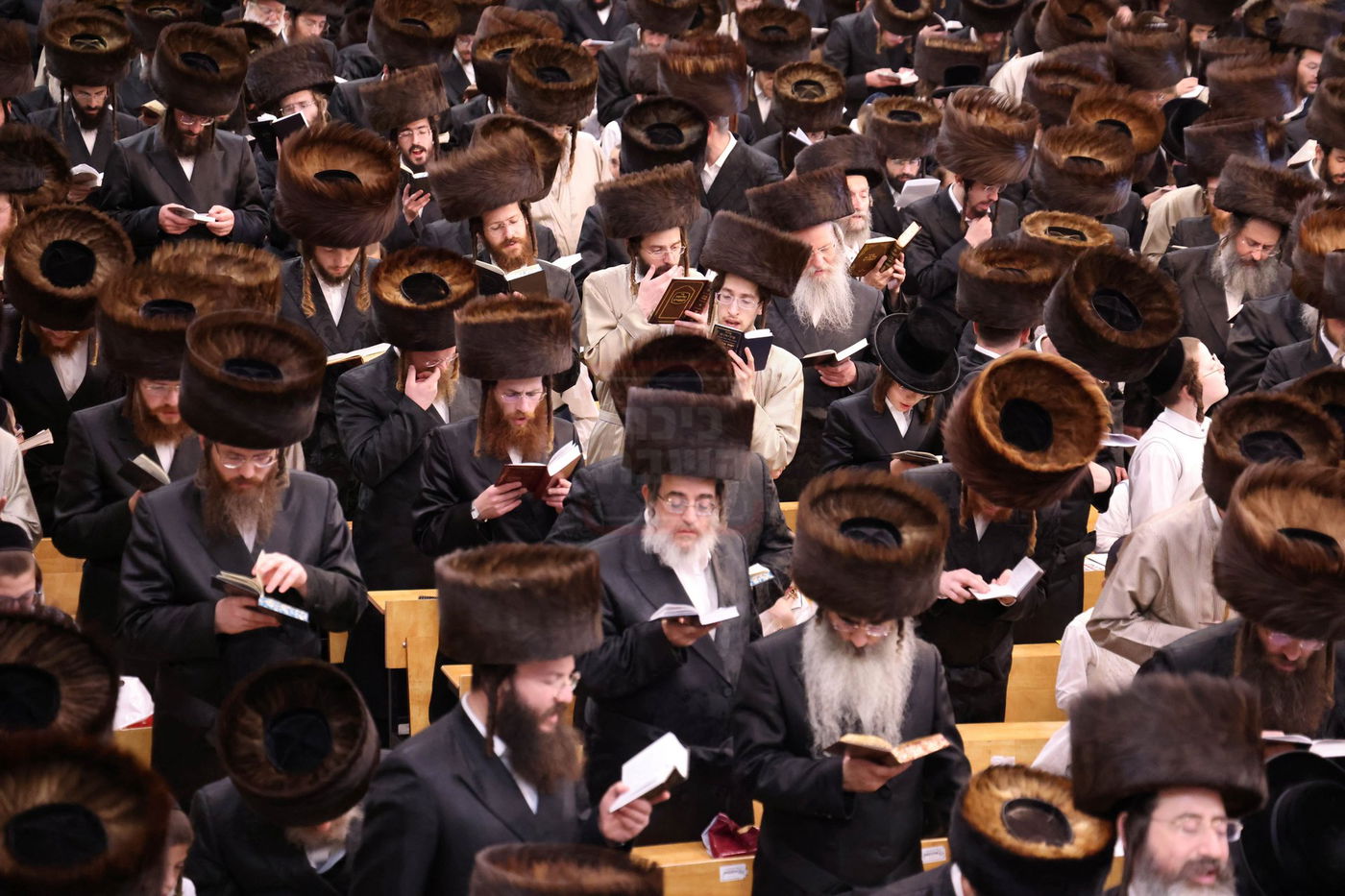 סליחות ראשונות בחצה"ק פינסק קרלין