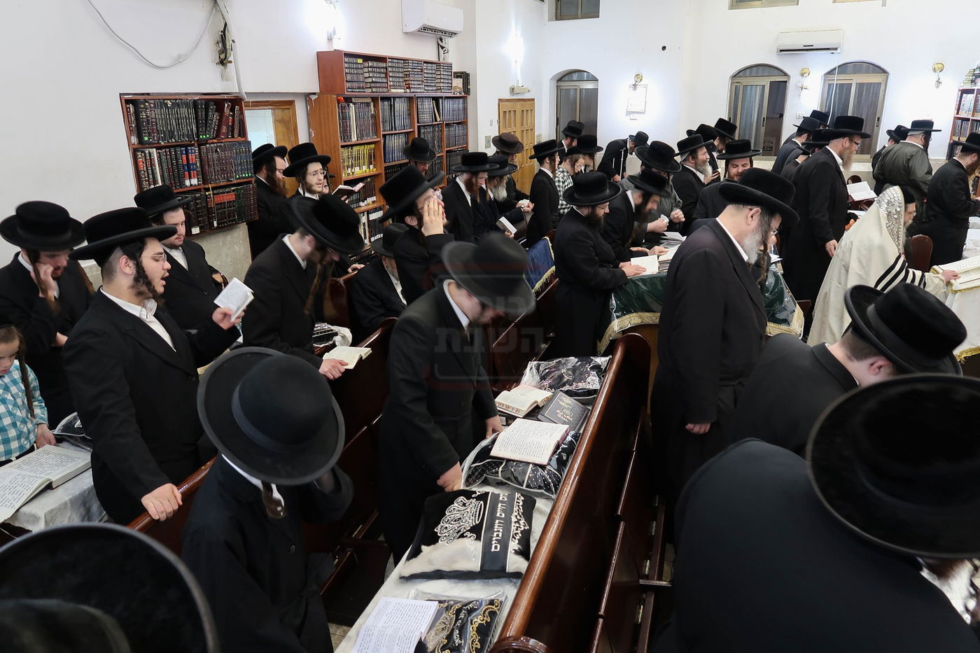 סליחות ראשונות בחצה"ק קרעטשניף סיגעט