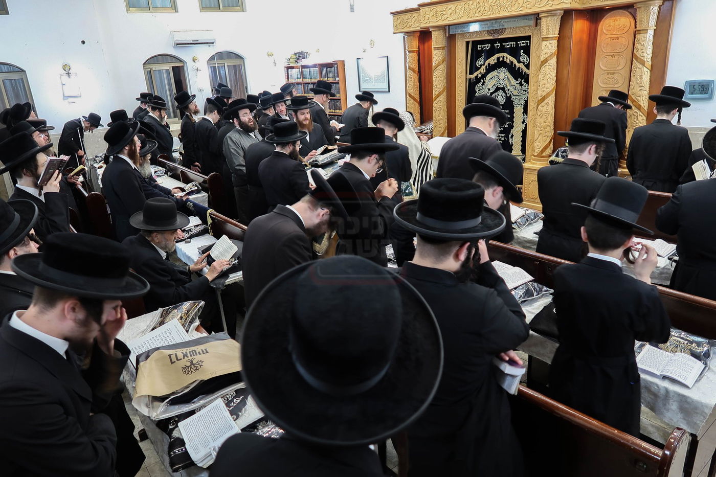 סליחות ראשונות בחצה"ק קרעטשניף סיגעט