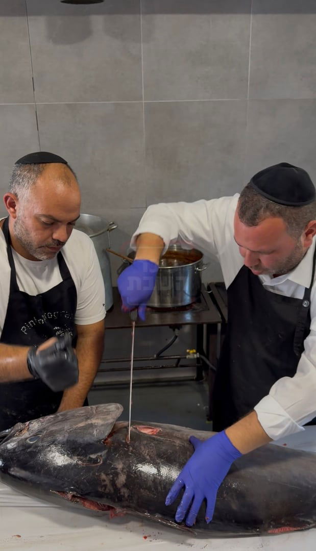 המיליארדר המתפייט | 'זופניק בכיכר' עם כל התמונות, הנייעס והחשיפות של השבוע